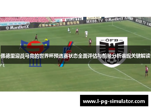 佩德里迎战马竞的世界杯预选赛状态全面评估与前景分析表现关键解读