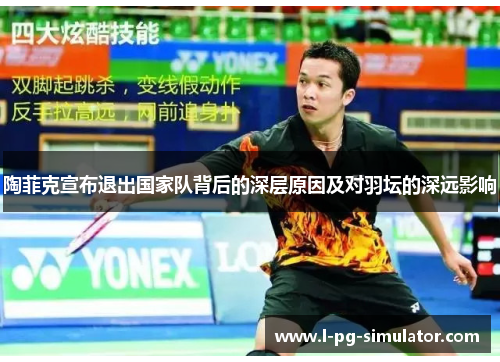 陶菲克宣布退出国家队背后的深层原因及对羽坛的深远影响