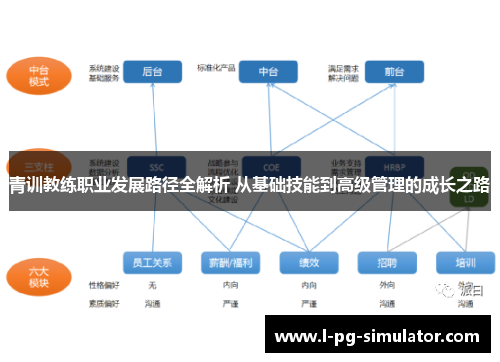 青训教练职业发展路径全解析 从基础技能到高级管理的成长之路