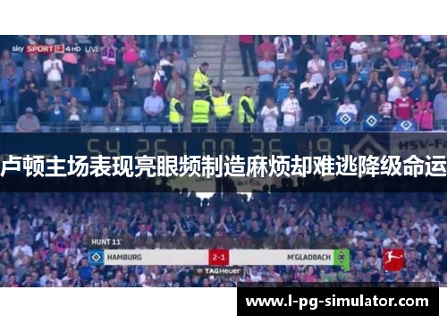 卢顿主场表现亮眼频制造麻烦却难逃降级命运